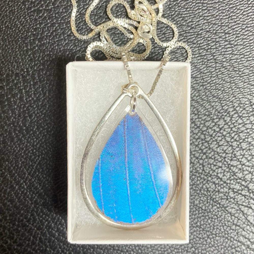 Real Butterfly Necklace Sterling Silver - Blue Morpho - Teardrop